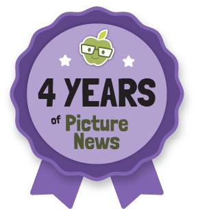 4 years of picture new award